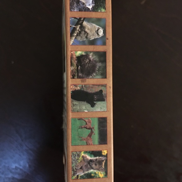 Collectible mini playing cards with baby critters, new in wrapping - Picture 2 of 5